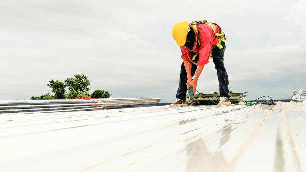 Professional Roofing service in Columbine, CO