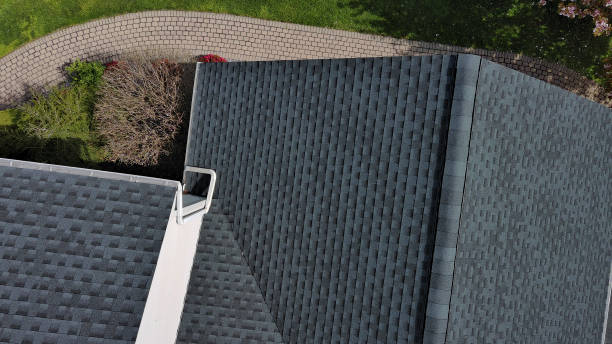 Best Chimney Flashing Repair  in Lumbine, CO