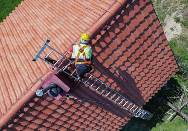 Best Commercial Roofing Services  in Lumbine, CO