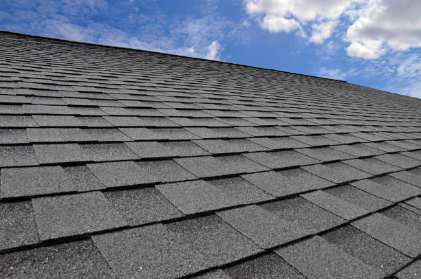 Best Commercial Roofing Services  in Lumbine, CO