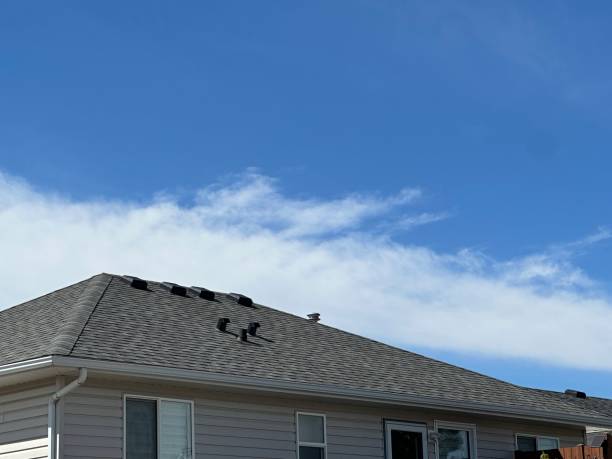 Best Roof Installation  in Lumbine, CO